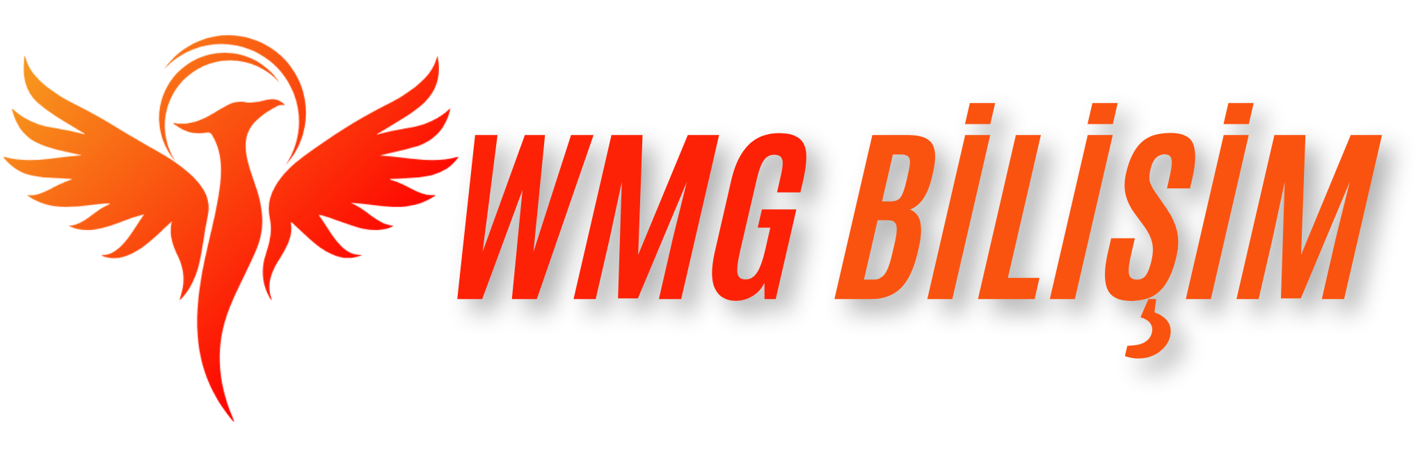 WMG - MODAV2 E-Ticaret Yazılımı